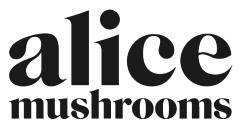 Alice Mushrooms