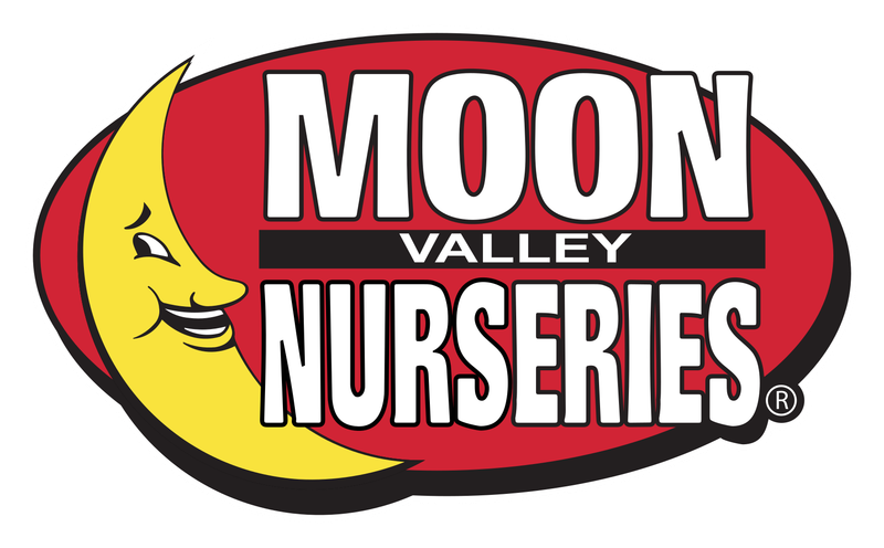 Moon Valley Plants
